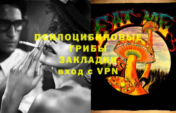 спиды Абдулино