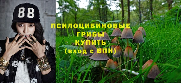 ешки Абинск
