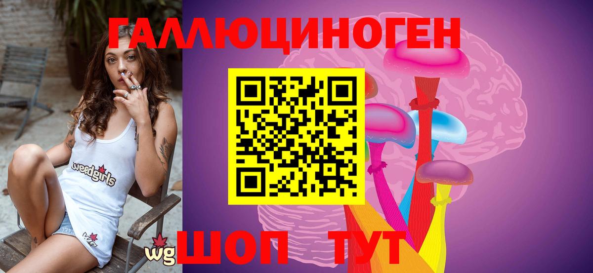 Галлюциногенные грибы Psilocybine cubensis Бугуруслан