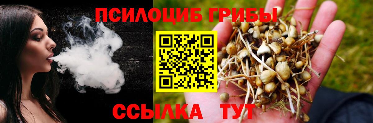 Галлюциногенные грибы мицелий  Вход с VPN  Бугуруслан 